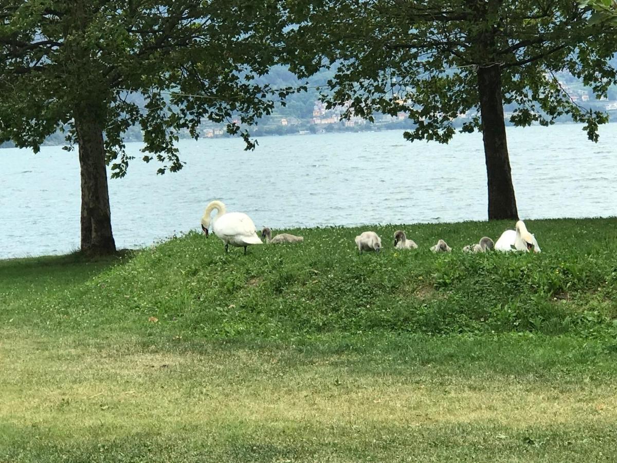 Appartamento Lake Como Gravedona Esterno foto